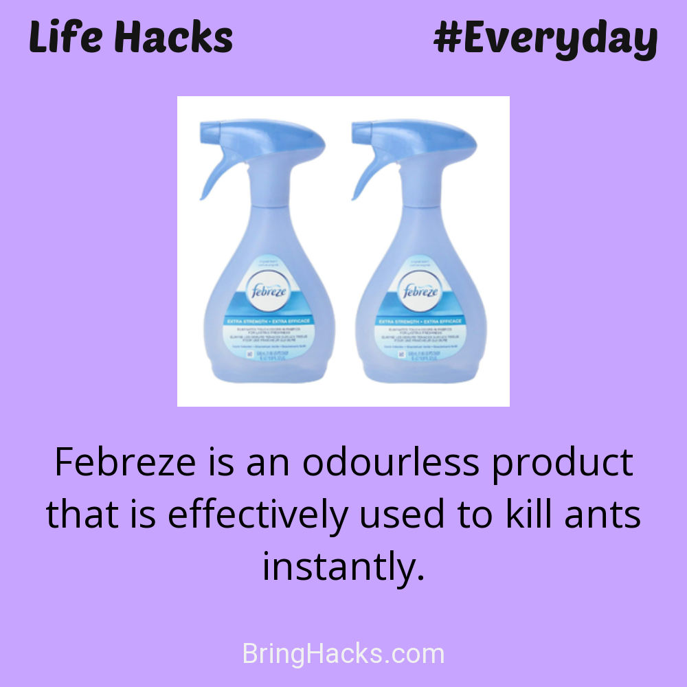 Life Hacks: - Febreze is an odourless product that is effectively used to kill ants instantly.