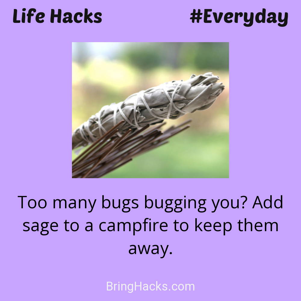 Life Hacks: - Too many bugs bugging you? Add sage to a campfire to keep them away.