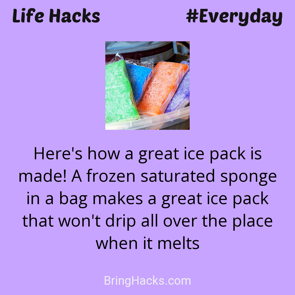 Life Hacks: - Here's how a great ice pack is made! A frozen saturated sponge in a bag makes a great ice pack that won't drip all over the place when it melts