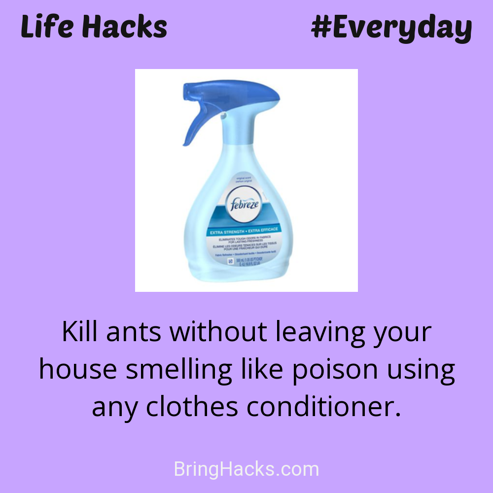 Life Hacks: - Kill ants without leaving your house smelling like poison using any clothes conditioner.
