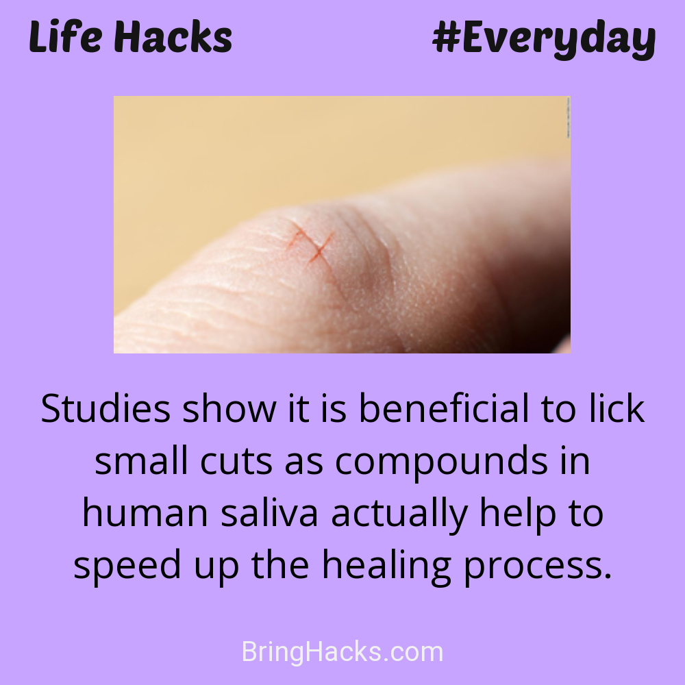 Life Hacks: - Studies show it is beneficial to lick small cuts as compounds in human saliva actually help to speed up the healing process.