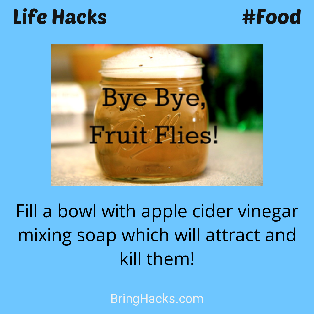 Life Hacks: - Fill a bowl with apple cider vinegar mixing soap which will attract and kill them!