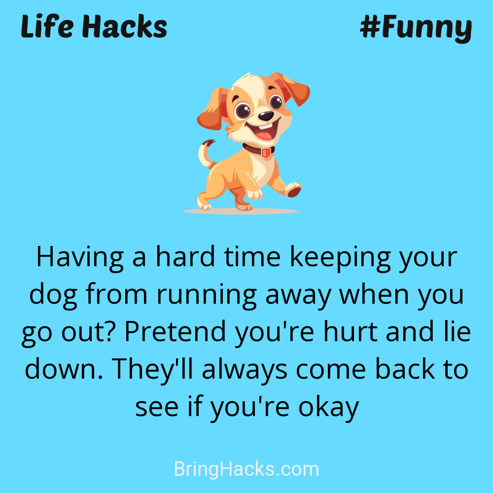 Life Hacks: - Having a hard time keeping your dog from running away when you go out? Pretend you're hurt and lie down. They'll always come back to see if you're okay