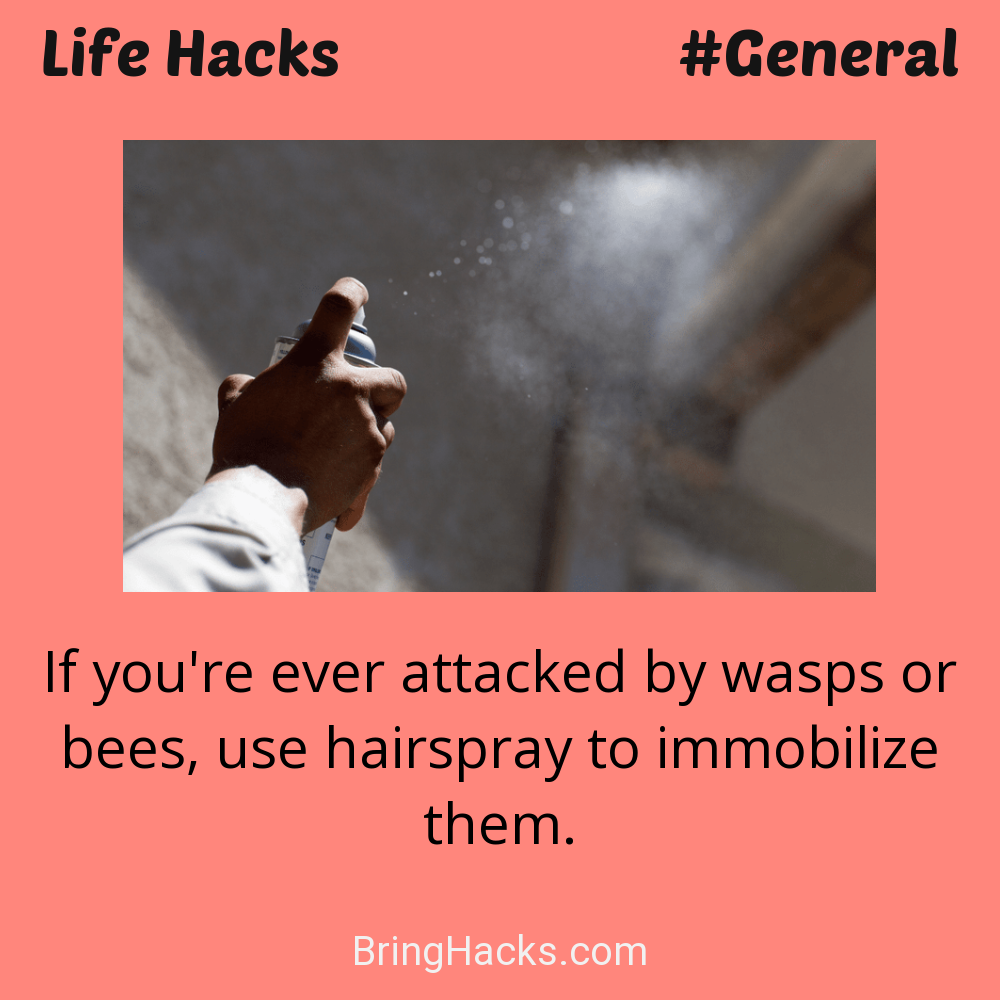 Life Hacks: - If you're ever attacked by wasps or bees, use hairspray to immobilize them.