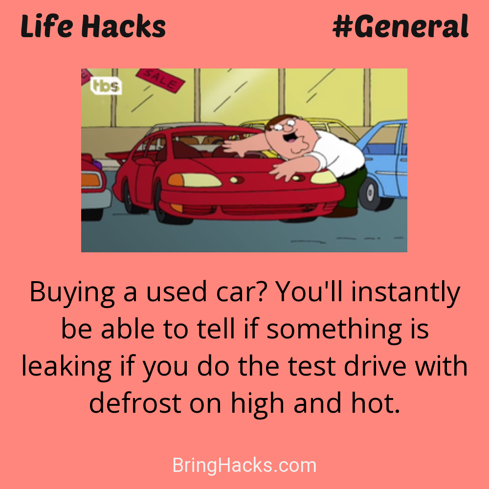 Life Hacks: - Buying a used car? You'll instantly be able to tell if something is leaking if you do the test drive with defrost on high and hot.