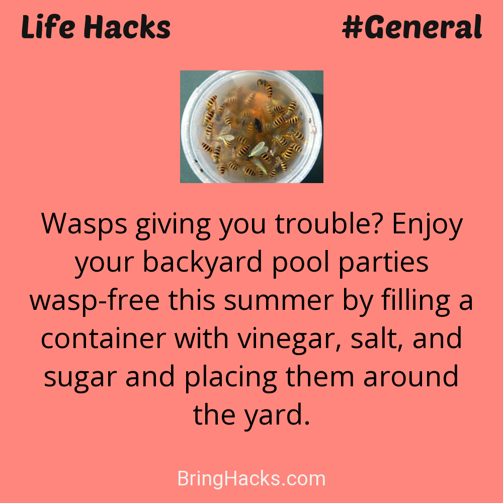 Life Hacks: - Wasps giving you trouble? Enjoy your backyard pool parties wasp-free this summer by filling a container with vinegar, salt, and sugar and placing them around the yard.
