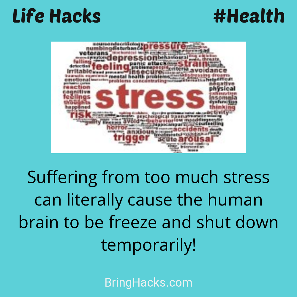 Life Hacks: - Suffering from too much stress can literally cause the human brain to be freeze and shut down temporarily!