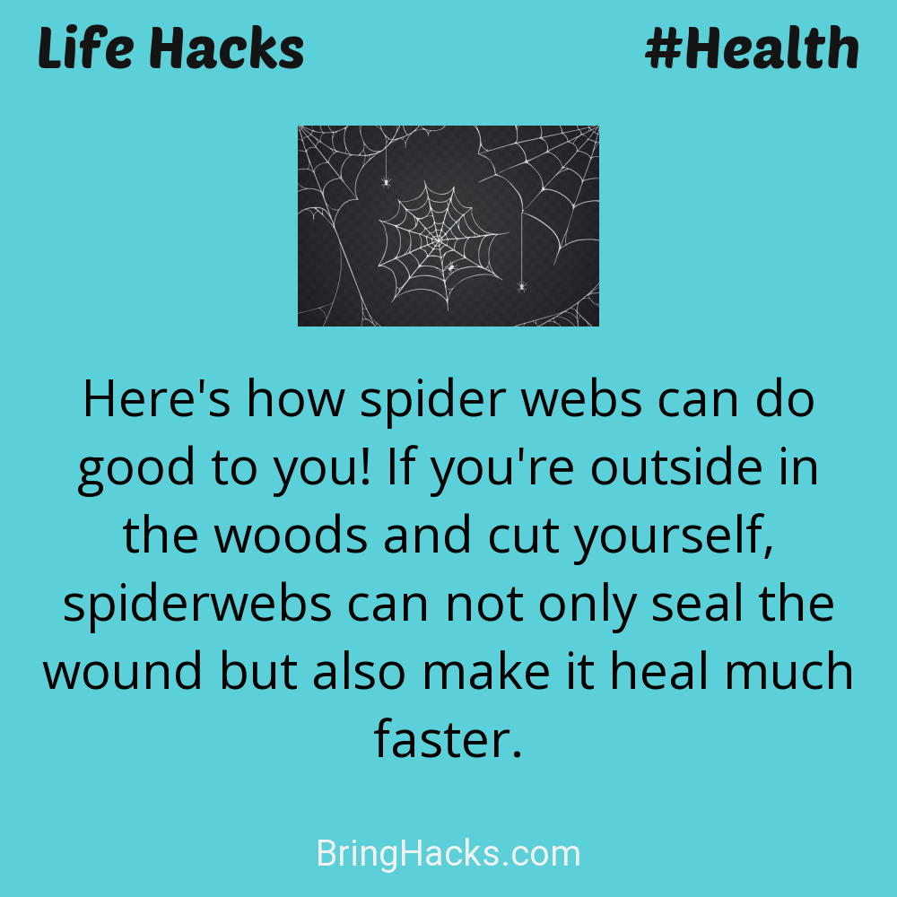 Life Hacks: - Here's how spider webs can do good to you! If you're outside in the woods and cut yourself, spiderwebs can not only seal the wound but also make it heal much faster.