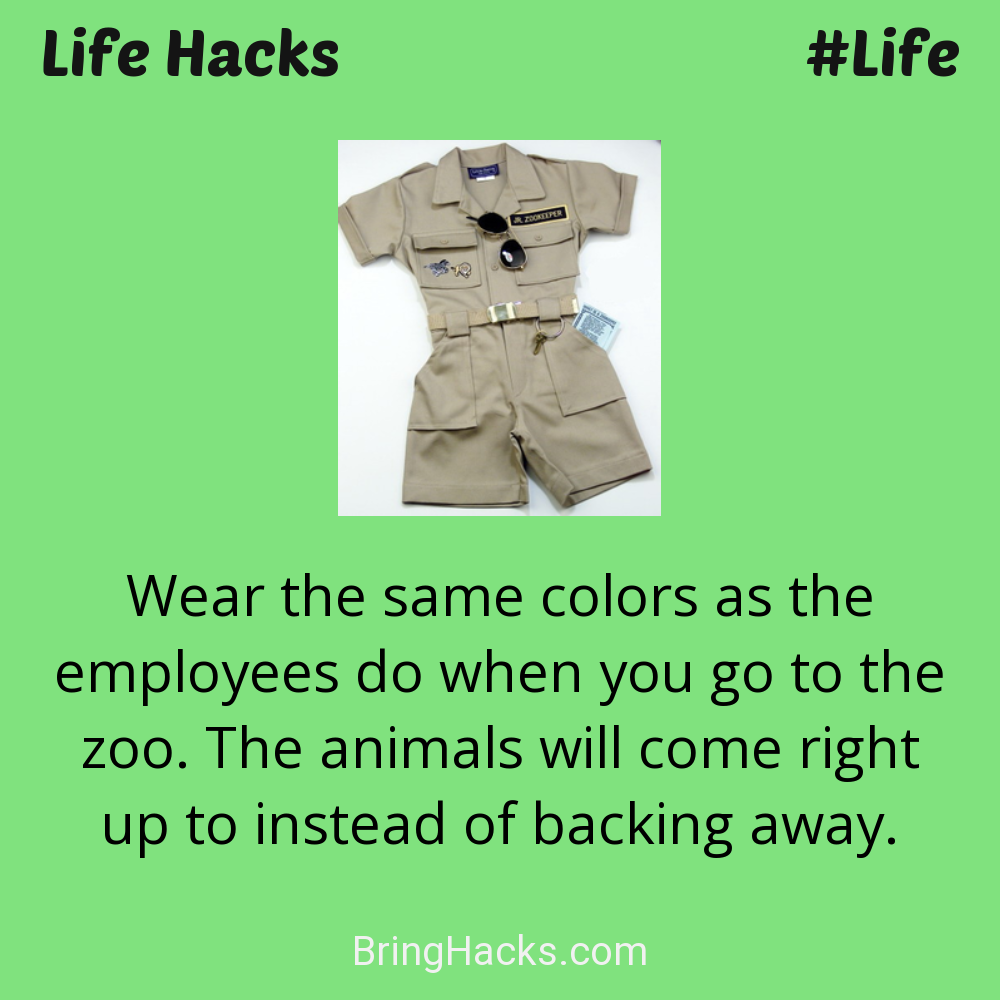 Life Hacks: - Wear the same colors as the employees do when you go to the zoo. The animals will come right up to instead of backing away.