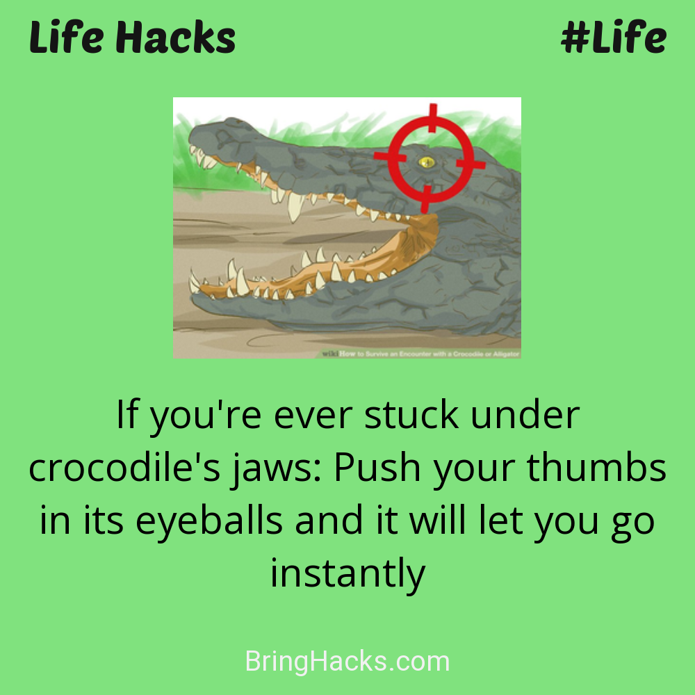 Life Hacks: - If you're ever stuck under crocodile's jaws: Push your thumbs in its eyeballs and it will let you go instantly