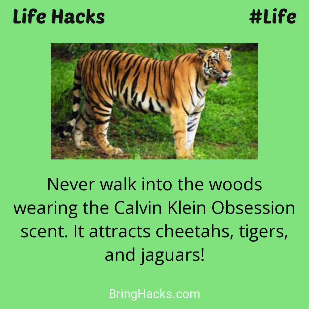 Life Hacks: - Never walk into the woods wearing the Calvin Klein Obsession scent. It attracts cheetahs, tigers, and jaguars!