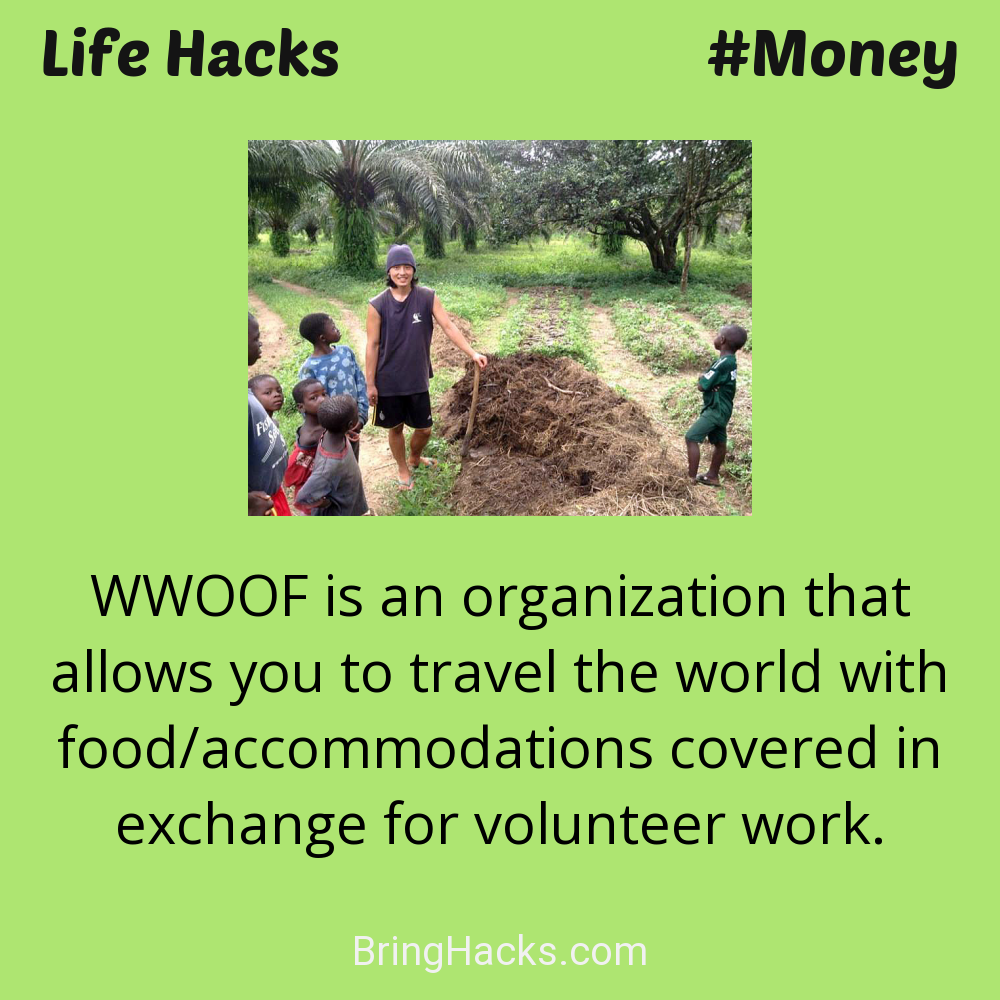 Life Hacks: - WWOOF is an organization that allows you to travel the world with food/accommodations covered in exchange for volunteer work.
