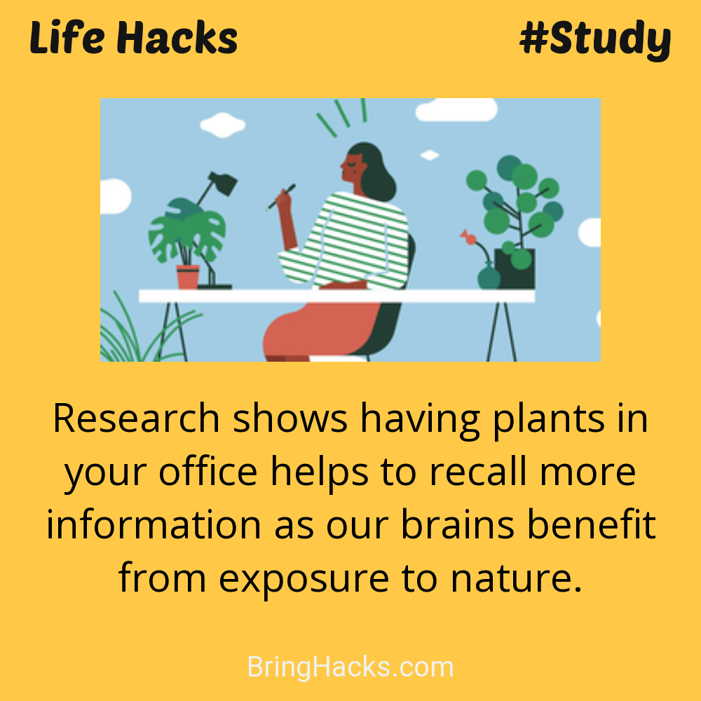 Life Hacks: - Research shows having plants in your office helps to recall more information as our brains benefit from exposure to nature.