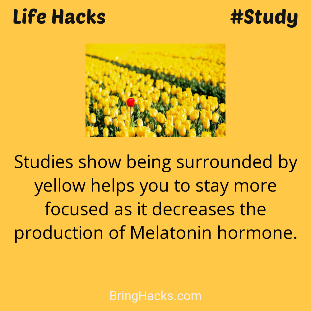 Life Hacks: - Studies show being surrounded by yellow helps you to stay more focused as it decreases the production of Melatonin hormone.
