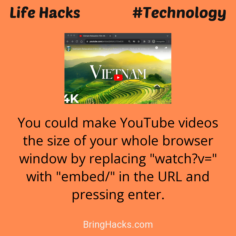 Life Hacks: - You could make YouTube videos the size of your whole browser window by replacing "watch?v=" with "embed/" in the URL and pressing enter.